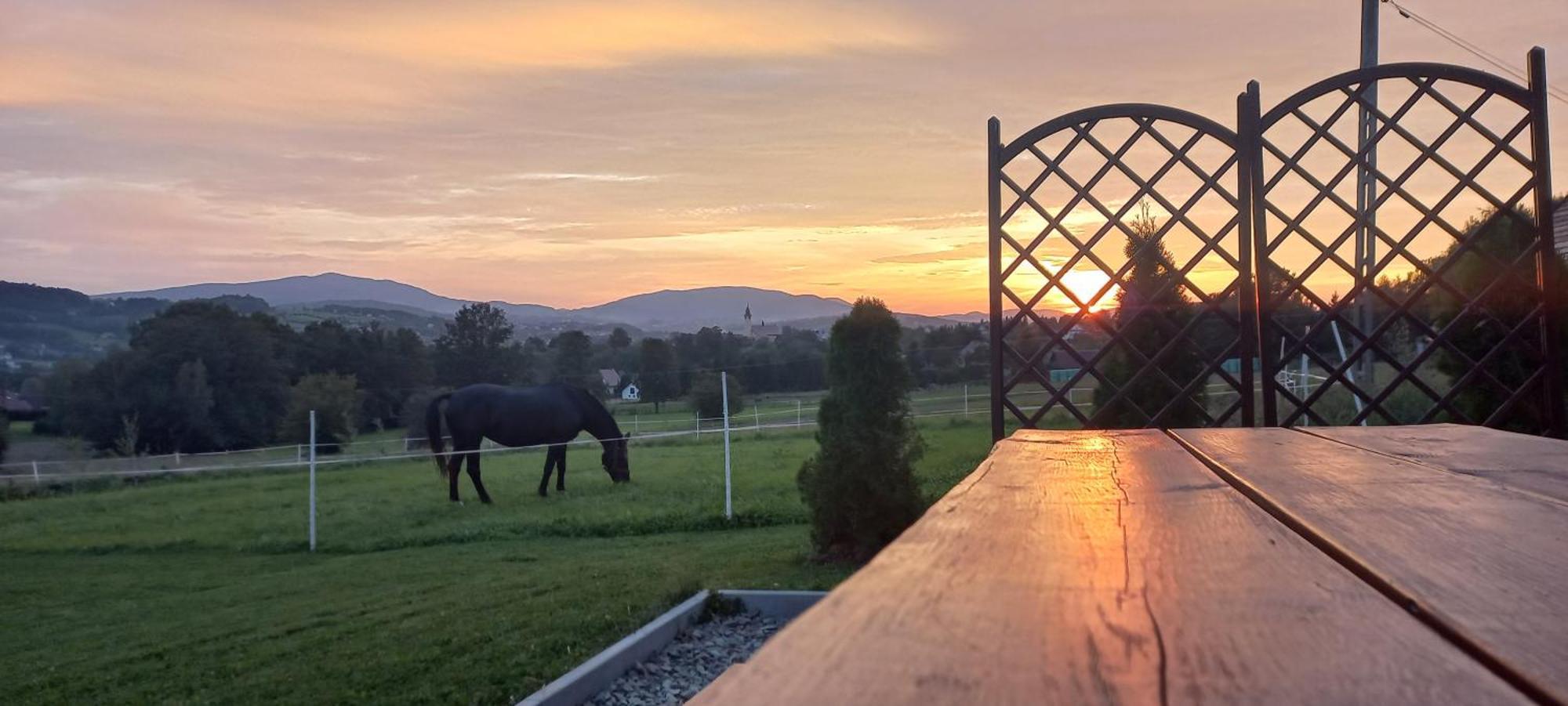 Komfortowe Domki Z Kominkiem Limanowa - Nowy Sacz Esterno foto
